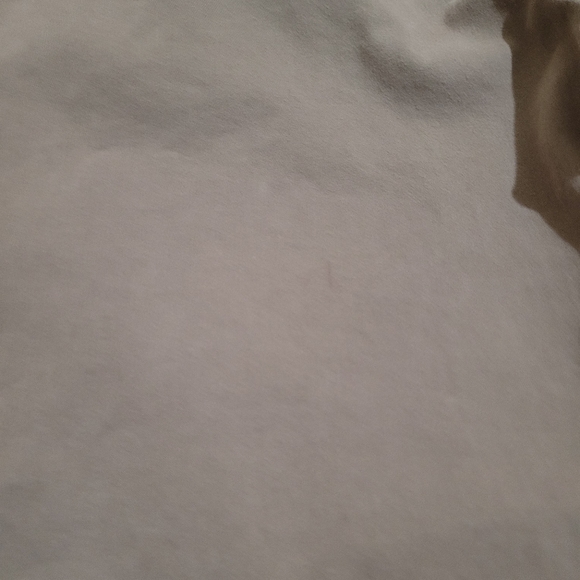 7 for all mankind men size 38 khaki shorts - Picture 7 of 11